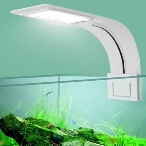 Lampe LED à Clip pour Aquarium – Éclairage Blanc / Bleu