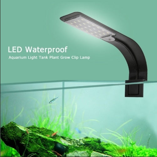 Lampe LED à Clip pour Aquarium – Éclairage Blanc / Bleu