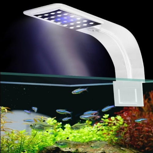 Lampe LED à Clip pour Aquarium – Éclairage Blanc / Bleu