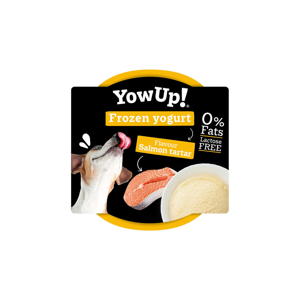Nourriture YowUp Saumon Chien 12 Unités